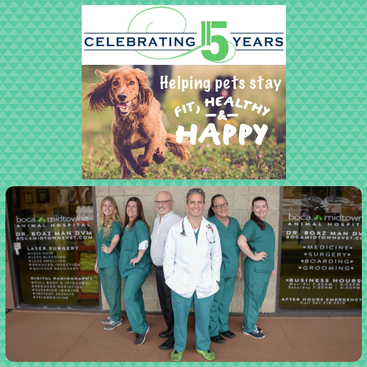 Boca Midtowne Animal Hospital anniversary celebration — trusted veterinary care in Boca Raton, FL