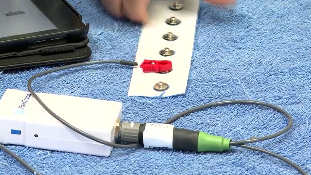 Boca Raton vet using advanced technology to quantify and assess pain levels in pets