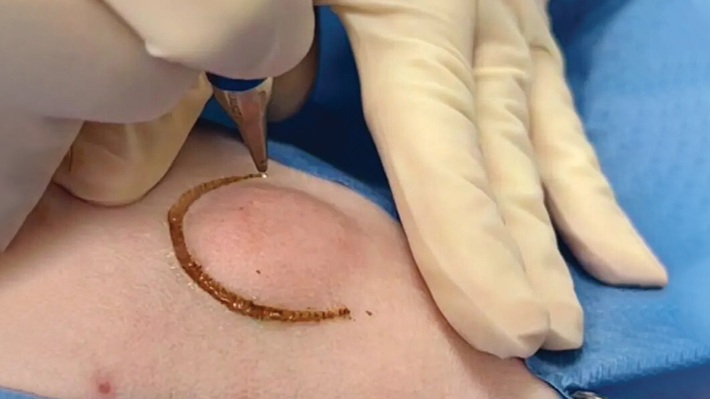 Featured article image highlighting the latest advancements in veterinary medicine technology