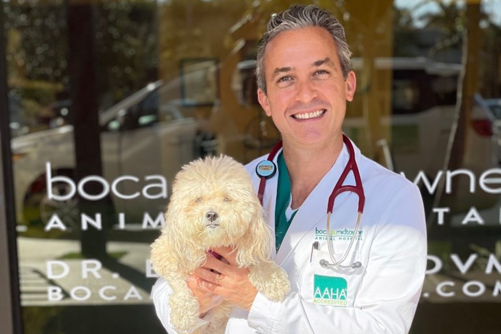 Meet Dr. Boaz Man, veterinarian and founder of Boca Midtowne Animal Hospital in Boca Raton, FL