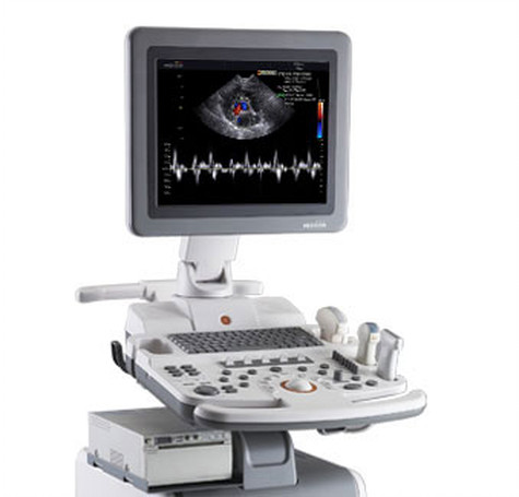 Specialty veterinary services overview at Boca Midtowne Animal Hospital in Boca Raton, FL