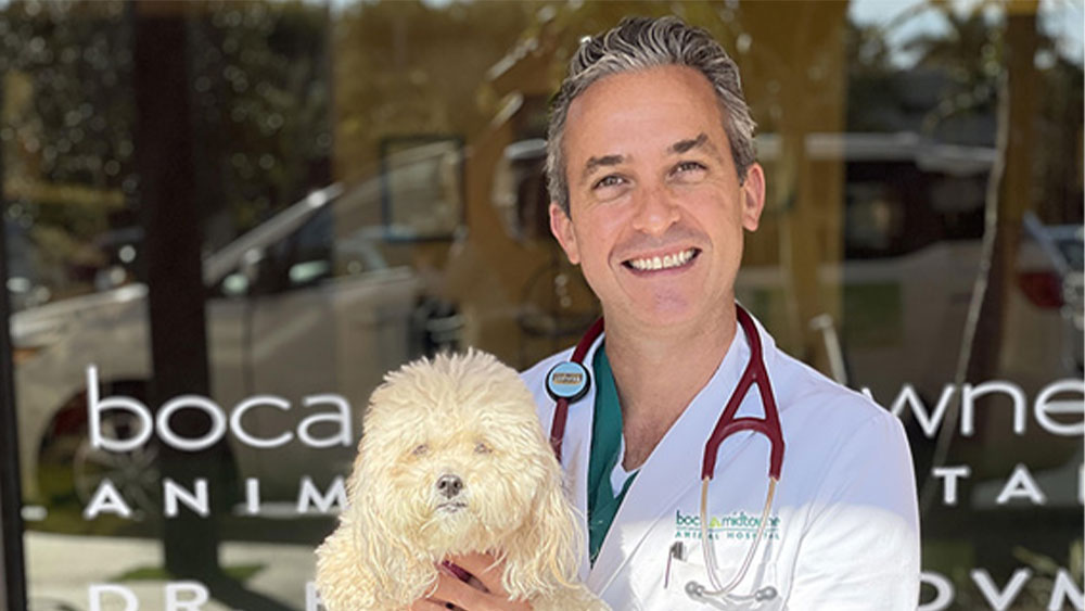 Stethoscope representing the integration of technology and modern veterinary medicine