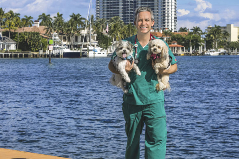 Expert veterinarian in pet care and pet parent education at Boca Midtowne Animal Hospital