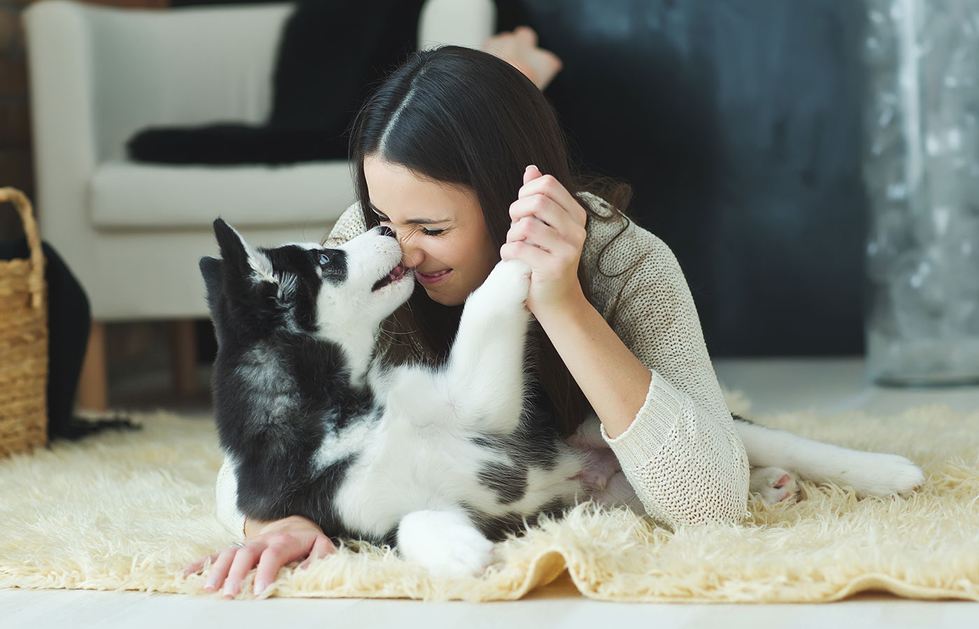 Pet vaccinations service at Boca Midtowne Animal Hospital in Boca Raton, FL