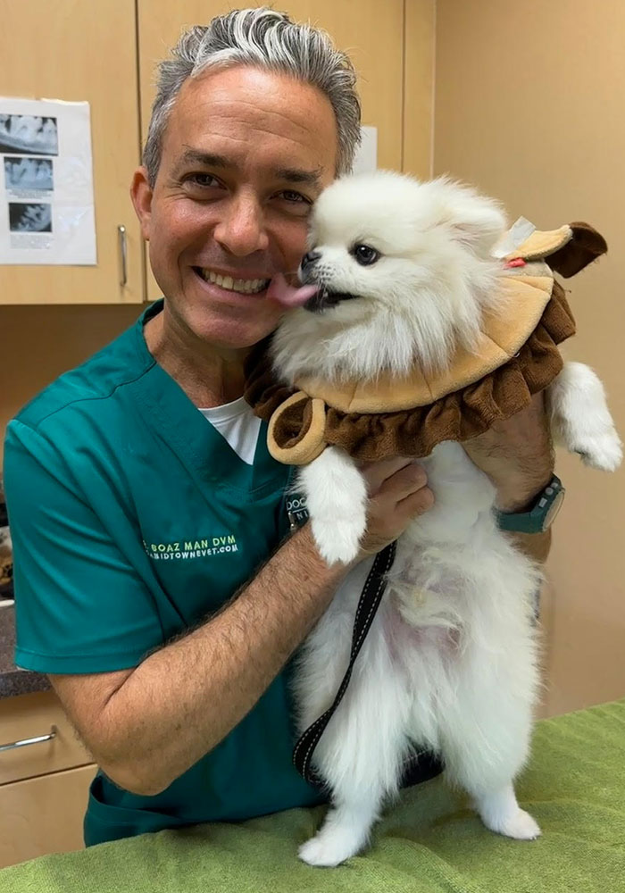 Boca Midtowne Animal Hospital veterinary care team welcoming pets and owners in Boca Raton FL
