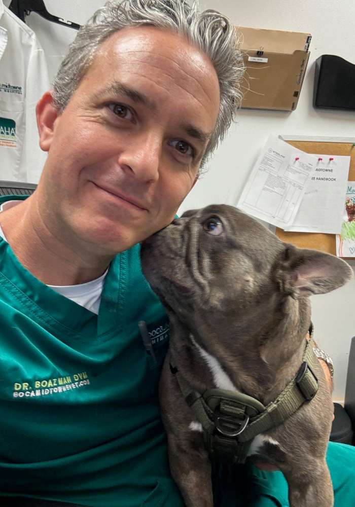 Happy pet receiving compassionate veterinary care at Boca Midtowne Animal Hospital
