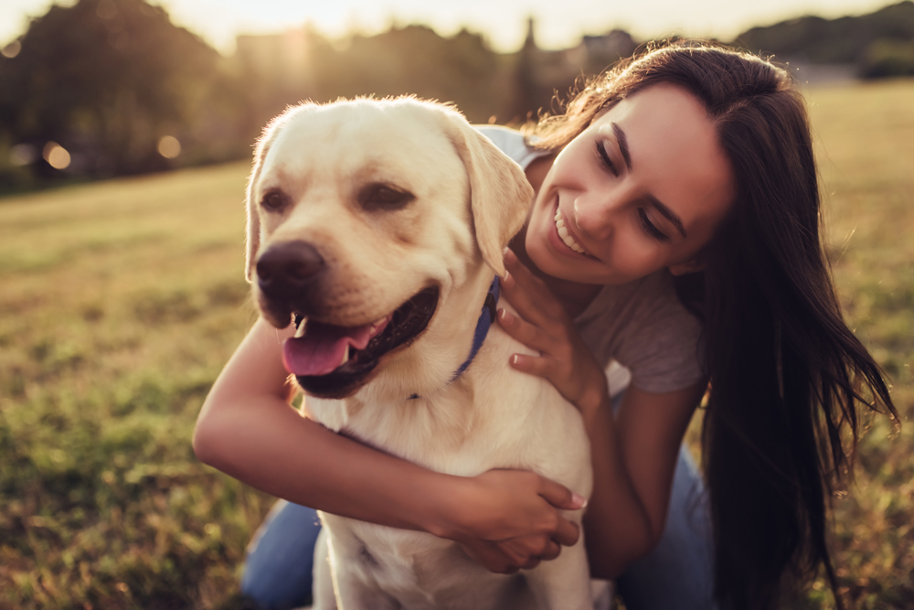 Pet owner and dog in a veterinary consultation room at Boca Midtowne Animal Hospital