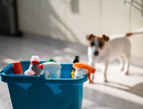 6 Tips to Protect Your Pet from Poisoning