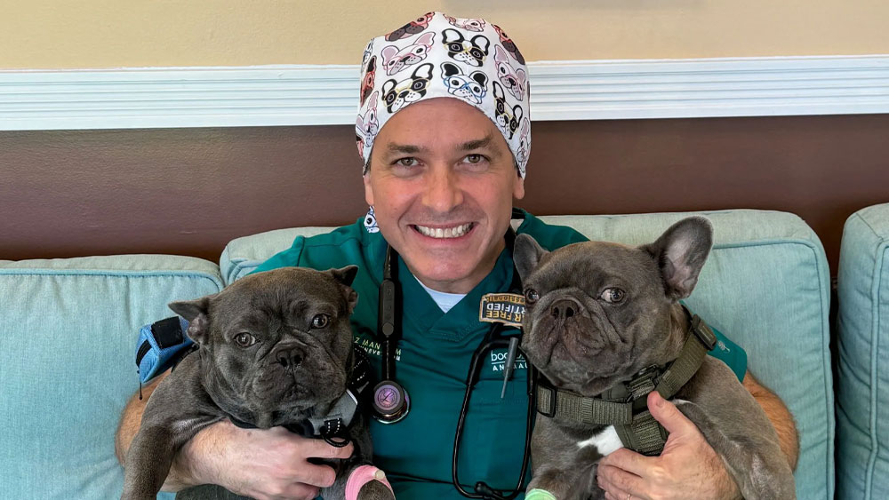 Dr. Boaz Man's Cover Article on Addressing BOAS in General Veterinary Practice Boca Midtowne